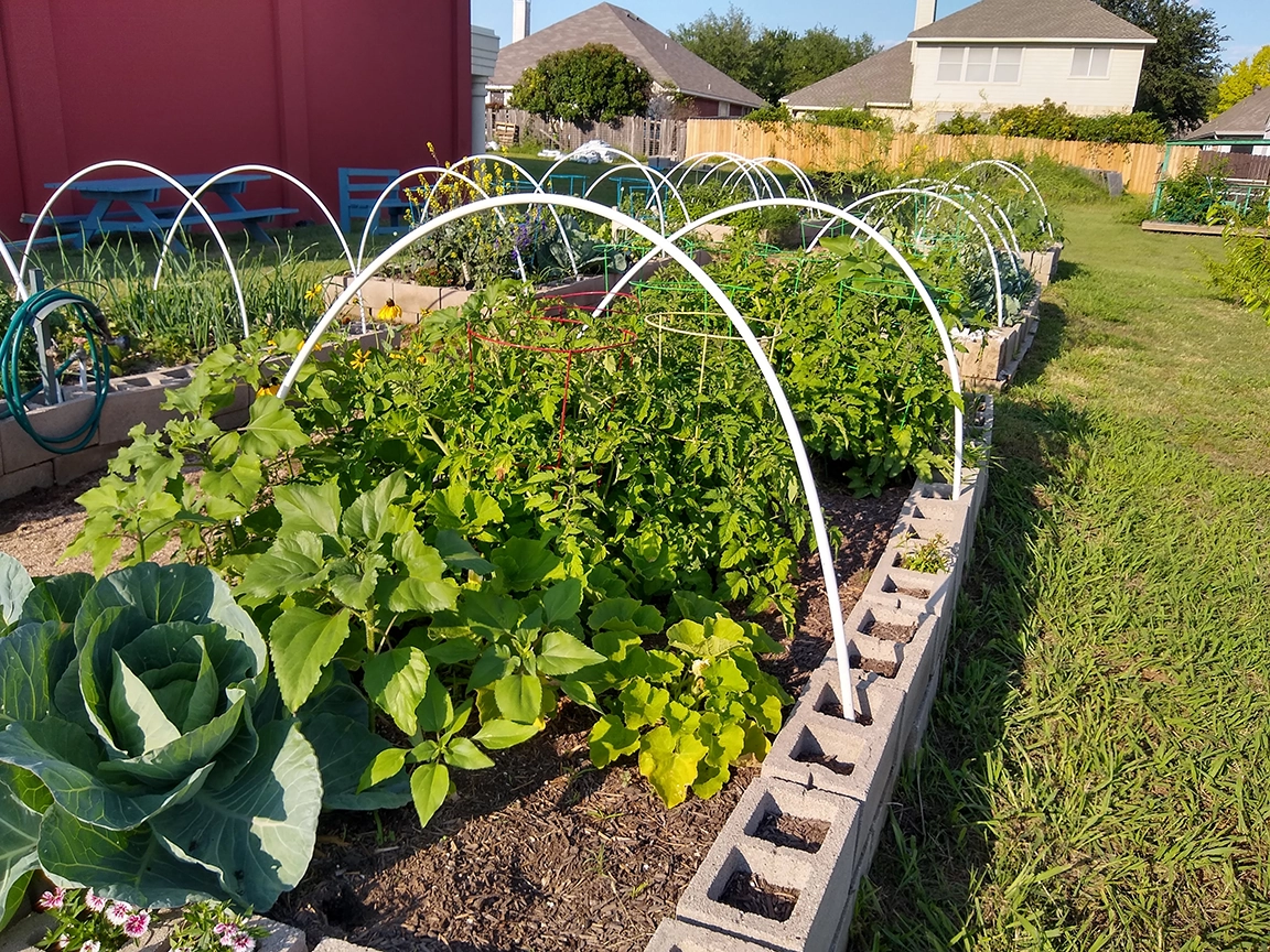 Alliance Community Garden