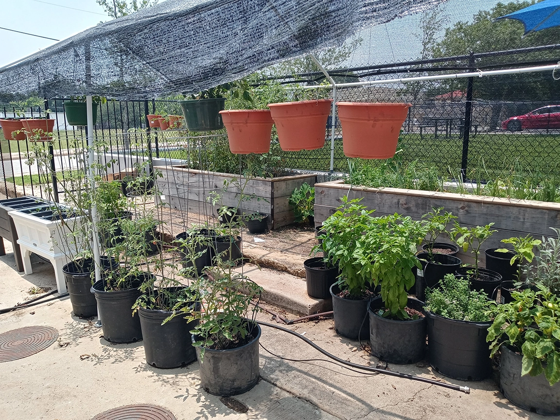 Community Crossroads Garden