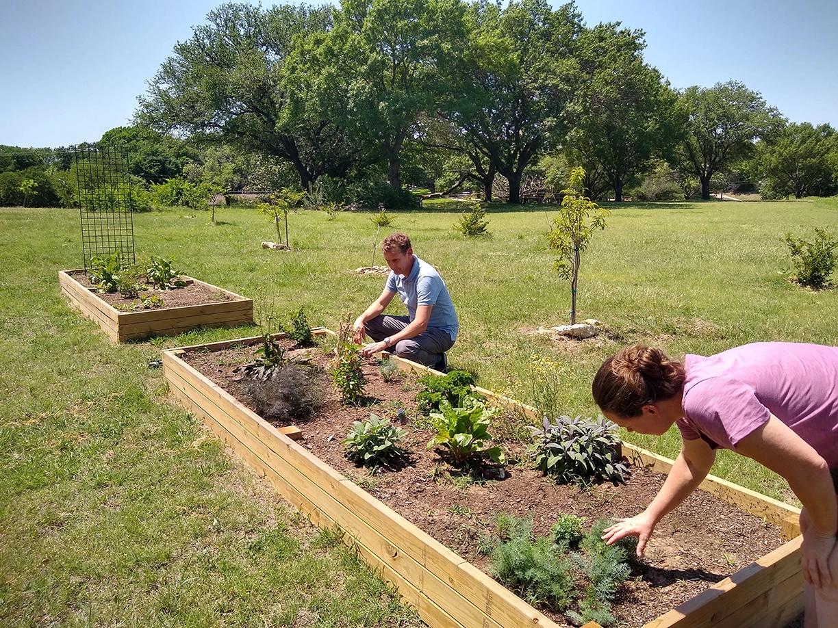 Garden on the Hilltop