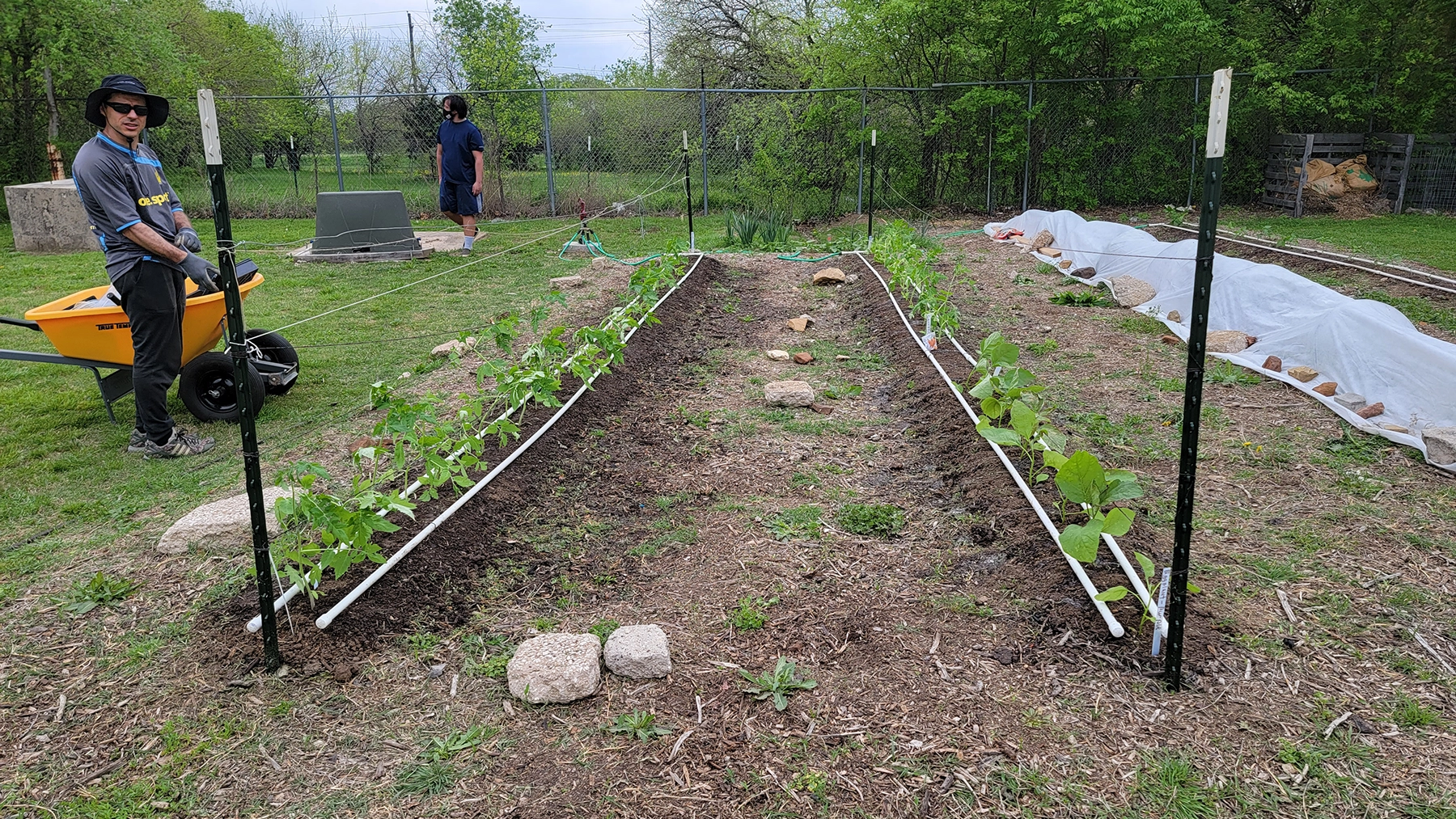 Pine Tree Estates Garden