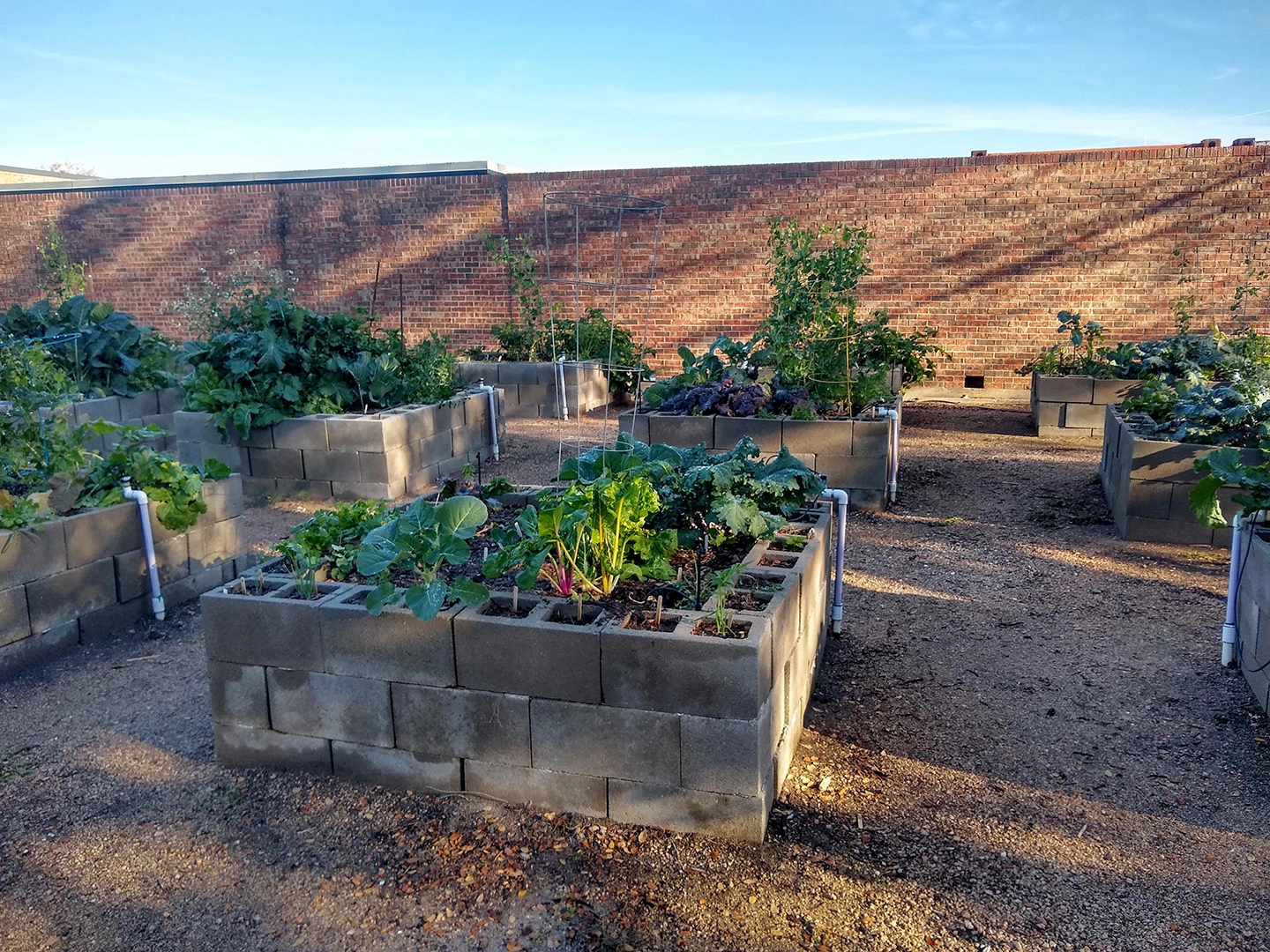 Tarrant County College South Campus Garden