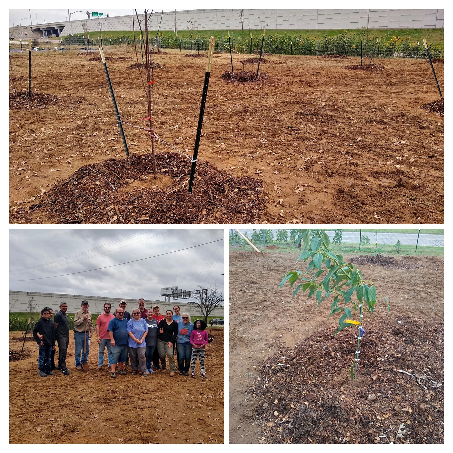 Together We Grow Garden