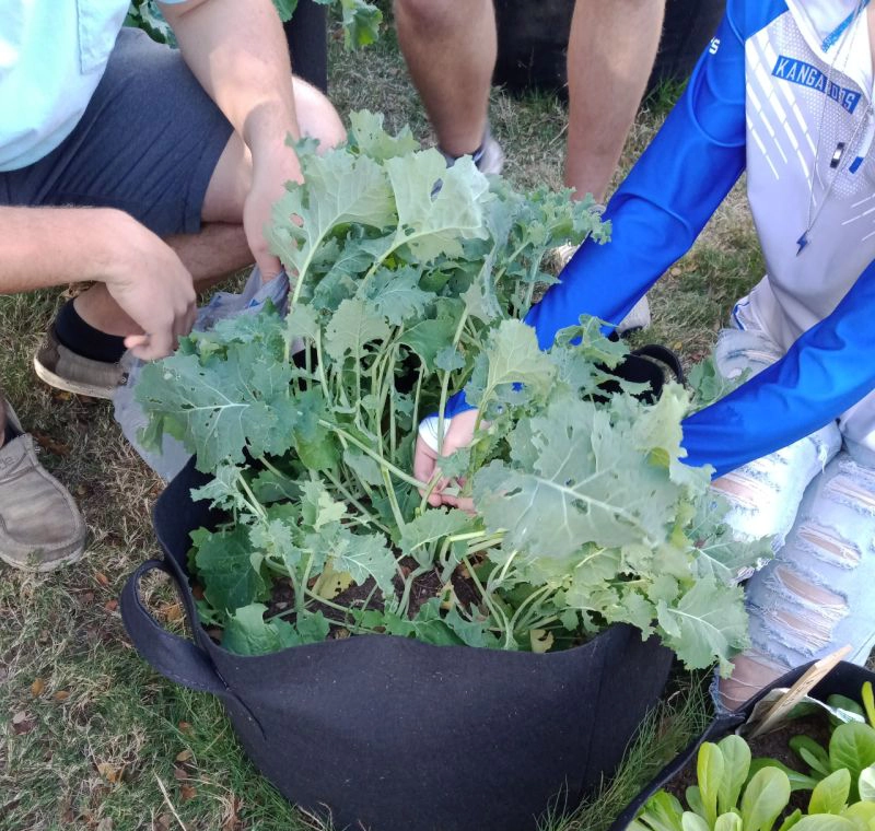 Weatherford High School Science Garden